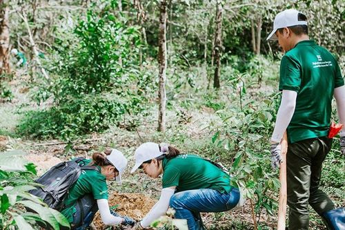 Đòn bẩy tài chính cho chiến lược tăng trưởng xanh và bảo tồn đa dạng sinh học