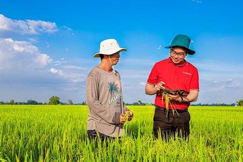 Bảo hiểm nông nghiệp - từ lưới an sinh đến công cụ quản trị rủi ro Chìa khóa mở cánh cửa tín dụng xanh