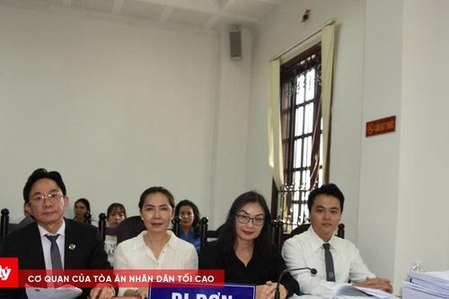 Vụ kiện hôn nhân và gia đình kéo dài 11 năm tại TP HCM: Nhiều vấn đề phức tạp cần xác minh làm rõ, HĐXX quyết định tạm ngừng phiên tòa