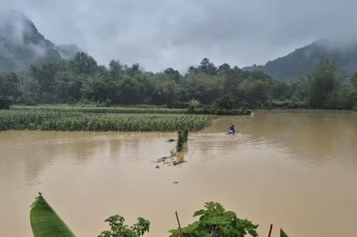 Thời tiết các khu vực trong tỉnh ngày 18/5 có nơi mưa to và dông