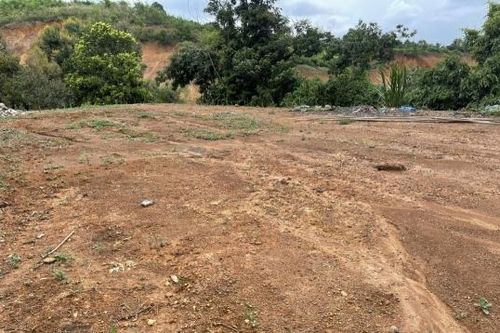 Lâm Đồng: Khẩn trương rà soát, sửa đổi những bất cập liên quan bảng giá đất