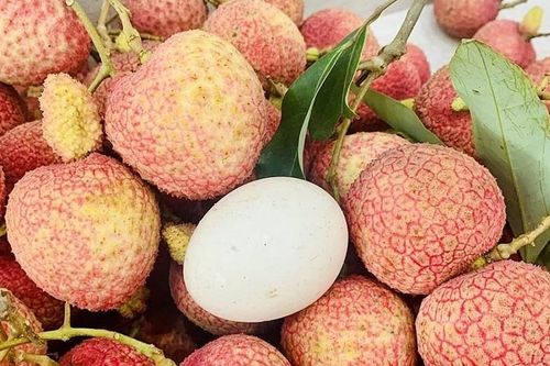 Vải trứng Hưng Yên vào vụ thu hoạch: Tuyệt phẩm OCOP 4 sao khẳng định đẳng cấp nông sản hạng sang