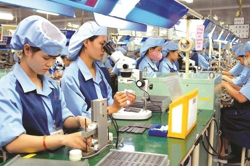 Học ngoại ngữ gì để AI không thể thay thế trong tương lai? Đây là 3 thứ tiếng đáng để đầu tư ngay từ bây giờ