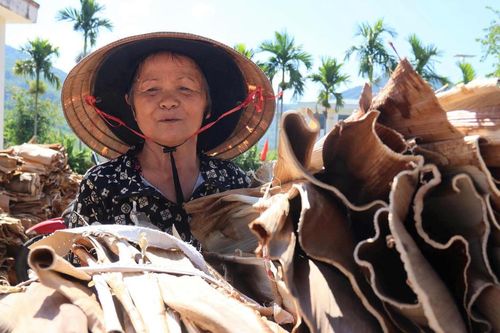 Quảng Ngãi: Từ mo cau bỏ đi đến sản phẩm 'xanh' mang lại thu nhập