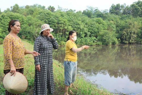 Cận cảnh hồ Đầm Sen (Lào Cai) có dấu hiệu bị ô nhiễm