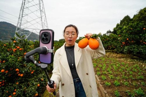 'Cơn sốt' cán bộ thôn nhảy múa, livestream bán nông sản ở Trung Quốc