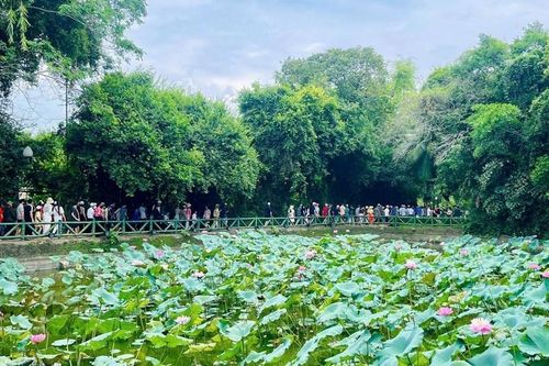 Dòng người từ khắp mọi miền về quê Bác dịp Lễ hội Làng Sen 2026