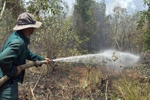Tây Ninh: Khống chế vụ cháy rừng tràm kéo dài hơn 24 giờ