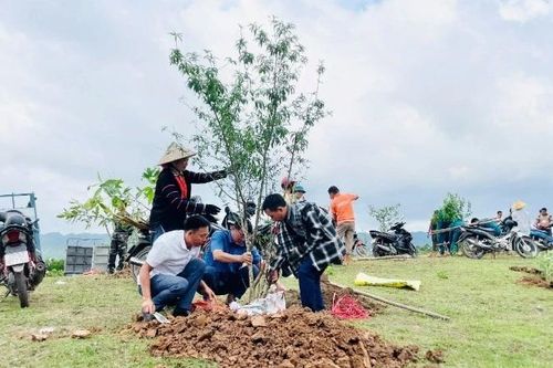 Điện Biên điều tiết hơn 43 tỷ đồng tiền dịch vụ môi trường rừng