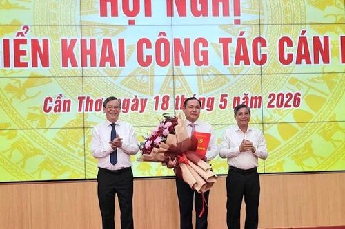 Phê chuẩn đồng chí Lê Công Lý làm Phó Chủ tịch Ủy ban nhân dân thành phố Cần Thơ