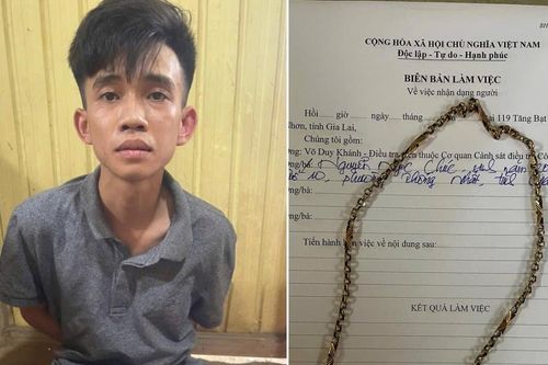 Sa lưới trên đường trốn chạy