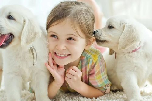 Nuôi thú cưng: Bài học cảm xúc đầu tiên dành cho trẻ