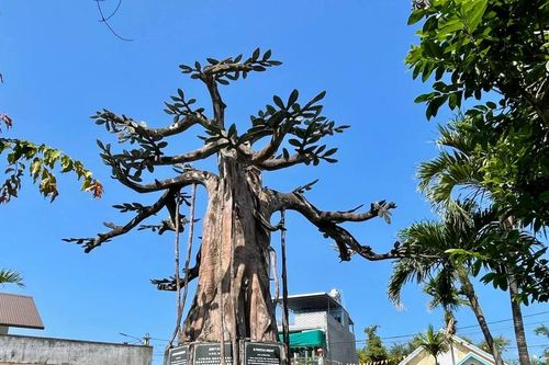 Tôn tạo Di tích lịch sử Nước Mặn, nơi phôi thai chữ Quốc ngữ
