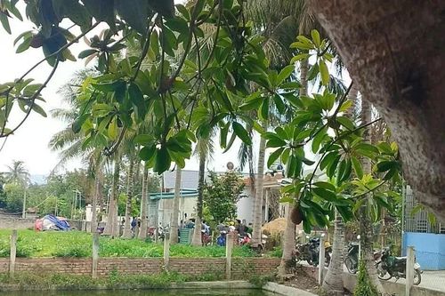 Công an Điện Biên điều tra vụ con trai tử vong sau khi dùng dao rượt đuổi bố đẻ