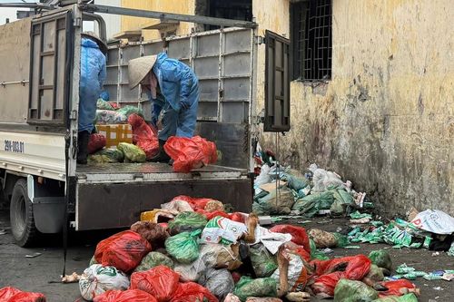 Kiểm tra, xử lý và buộc tiêu hủy hơn 1,2 tấn nội tạng và thịt bò nhập lậu