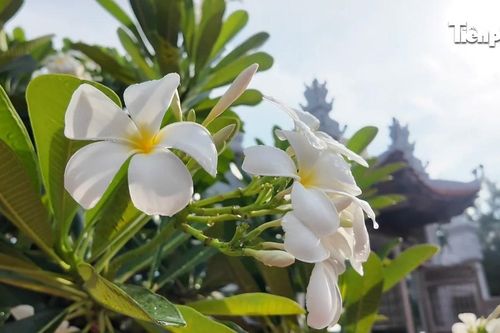 Những điểm tựa tâm linh nơi đầu sóng Trường Sa