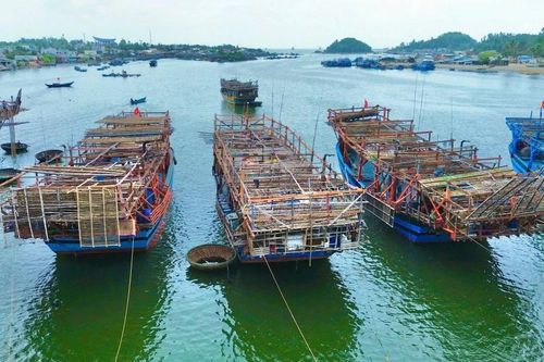 Lý do ngư dân Quảng Ngãi ra cảng cá Đà Nẵng xác nhận nguồn gốc, bốc dỡ hải sản