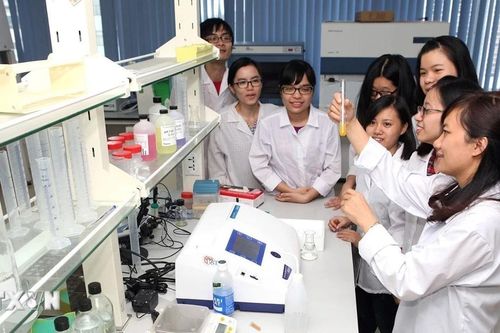 Giải bài toán công nghệ Việt thông qua chuỗi liên kết 3 nhà