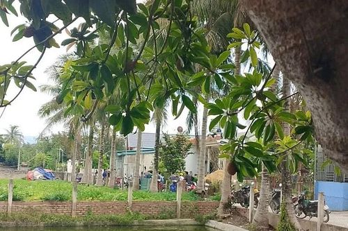 Điện Biên: Điều tra vụ người đàn ông tử vong sau mâu thuẫn với bố đẻ