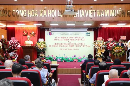 Bảo tàng Thiên nhiên Việt Nam - nơi lưu giữ bộ sưu tập mẫu vật quốc gia