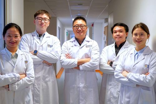 Đột phá cấy ghép rau chân vịt giúp mắt 'quang hợp'