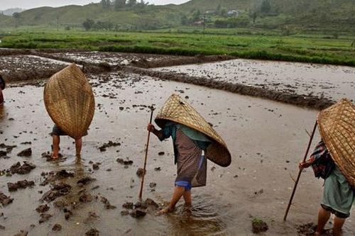 Bí ẩn ngôi làng mưa nhiều nhất thế giới: Cả năm không khô nổi một ngày