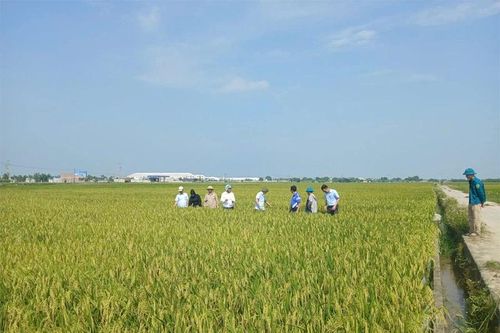 Thọ Xuân đưa nghị quyết của Đảng vào cuộc sống