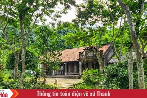 Nét xưa trong ngôi nhà gỗ lim hơn 80 năm tuổi ở xứ Thanh