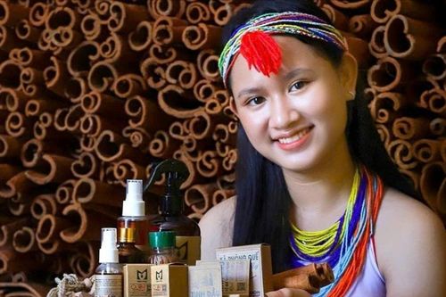 Hương quế gọi về đại ngàn