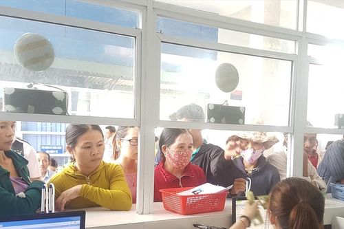 Phổ biến nghị định, thông tư hướng dẫn Luật Đấu thầu và Luật Dược