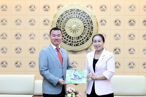 Đối tác Nhật Bản mong muốn phát triển dịch vụ lướt sóng tại Đà Nẵng
