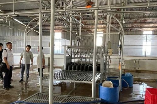 Gia Lai: Kiểm tra về an toàn thực phẩm thuộc lĩnh vực chăn nuôi thú y