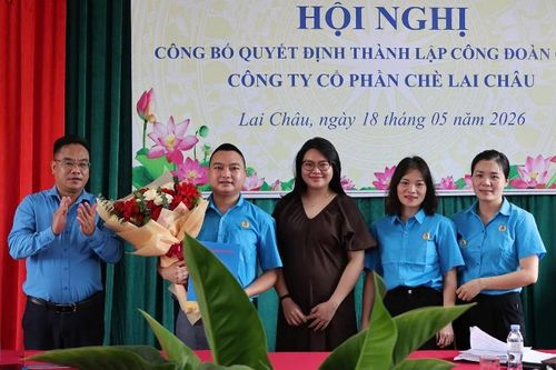 Công bố quyết định thành lập Công đoàn cơ sở Công ty Cổ phần Chè Lai Châu