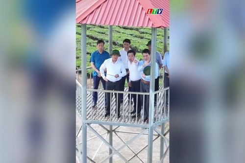 BÍ THƯ TỈNH ỦY LÊ MINH NGÂN: KHÔNG ĐỂ 'ĐIỂM NGHẼN' CẢN TIẾN ĐỘ CAO TỐC BẢO HÀ – LAI CHÂU