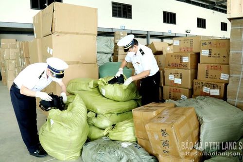 Chặn vi rút Hanta từ cửa khẩu
