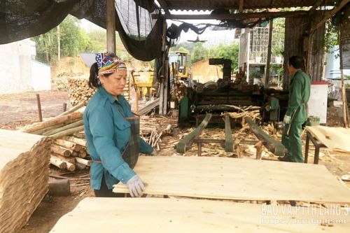 Nỗi lo an toàn trong chế biến gỗ