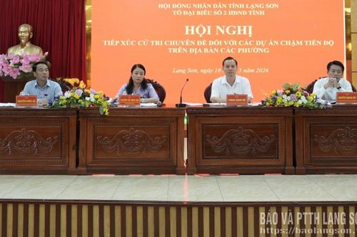 Tiếp xúc cử tri chuyên đề về các dự án chậm tiến độ trên địa bàn các phường
