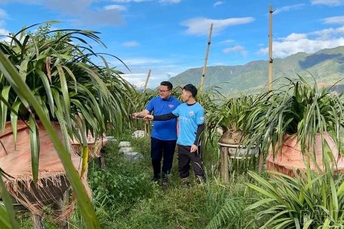Thanh niên Sa Pa khởi nghiệp từ lợi thế nông nghiệp địa phương