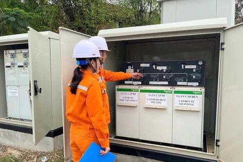 Từ 25/5, vi phạm điện lực bị phạt tới 200 triệu đồng: Những đối tượng cần lưu ý để tránh bị xử phạt