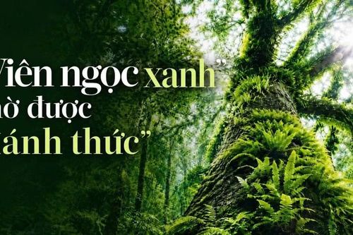 'Viên ngọc xanh' chờ được 'đánh thức'