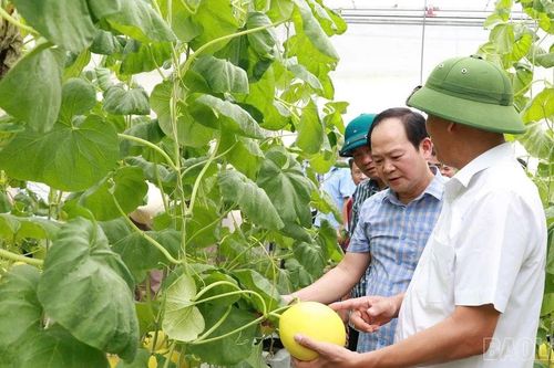 Xã Xuân Quang học tập kinh nghiệm chuyển đổi số, phát triển nông nghiệp công nghệ cao tại xã Thiệu Hóa