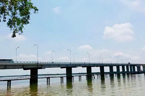 Vĩnh Long xây cầu Cổ Chiên 2 quy mô 6 làn xe với tổng vốn đầu tư 3.500 tỷ đồng