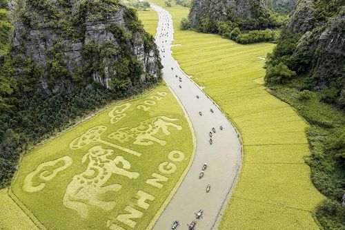 Đã có 100 nghệ sĩ, nhiếp ảnh đăng ký Tour du lịch chụp ảnh 'Mùa vàng Tam Cốc' năm 2026