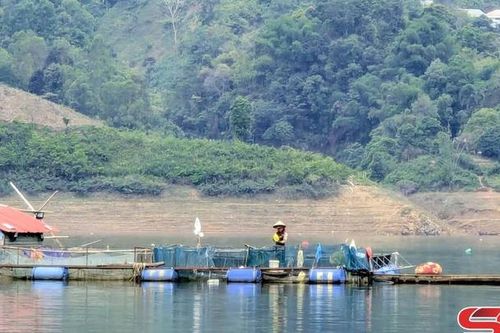 Tạo sinh kế mới từ du lịch trải nghiệm lòng hồ Chiềng Lao