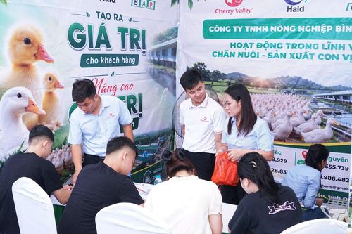 Sôi động Ngày hội việc làm tại Trường Đại học Nông lâm Thái Nguyên