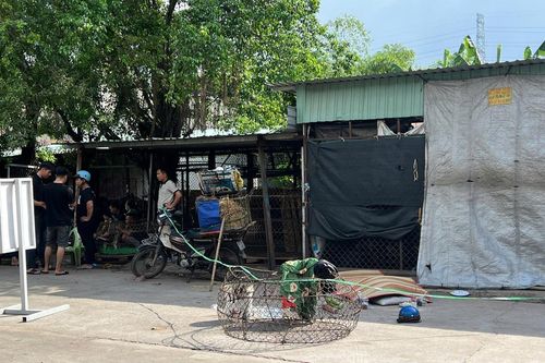 TP.HCM: Người đàn ông bất ngờ ngã từ xe máy xuống đường, tử vong tại chỗ