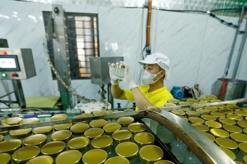 Sửa đổi Luật Hỗ trợ doanh nghiệp nhỏ và vừa: Bệ phóng mới cho khu vực kinh tế tư nhân
