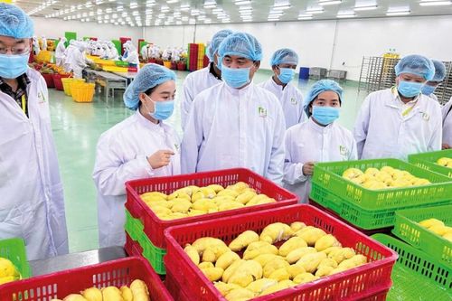 Sai một chi tiết nhỏ, doanh nghiệp có thể bị từ chối thông quan