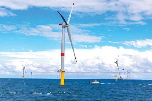 Quảng Ninh triển khai Nhà máy điện gió 50MW tại đặc khu Cô Tô