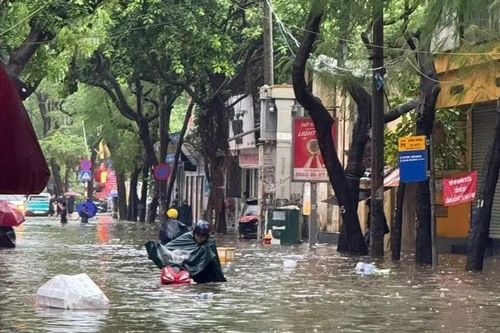 Môi trường - nền tảng cho tăng trưởng bền vững